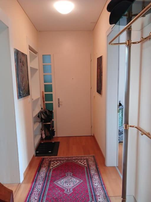 Charmante Jugendstilwohnung Mit Tiefengaragenplatz Apartment St. Gallen