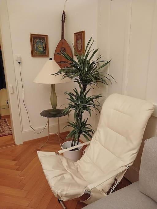 Charmante Jugendstilwohnung Mit Tiefengaragenplatz St. Gallen