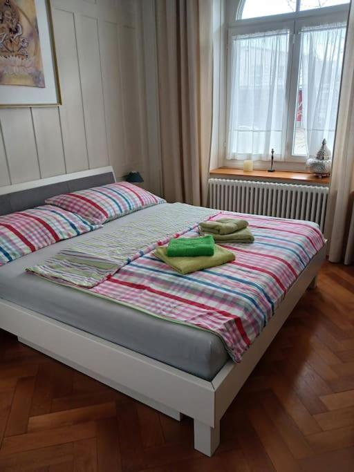 Charmante Jugendstilwohnung Mit Tiefengaragenplatz * St. Gallen